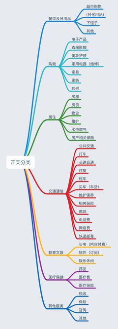 记账分类的合理性和必要性