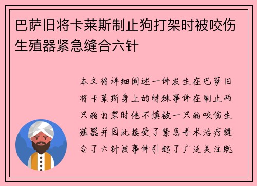 巴萨旧将卡莱斯制止狗打架时被咬伤生殖器紧急缝合六针